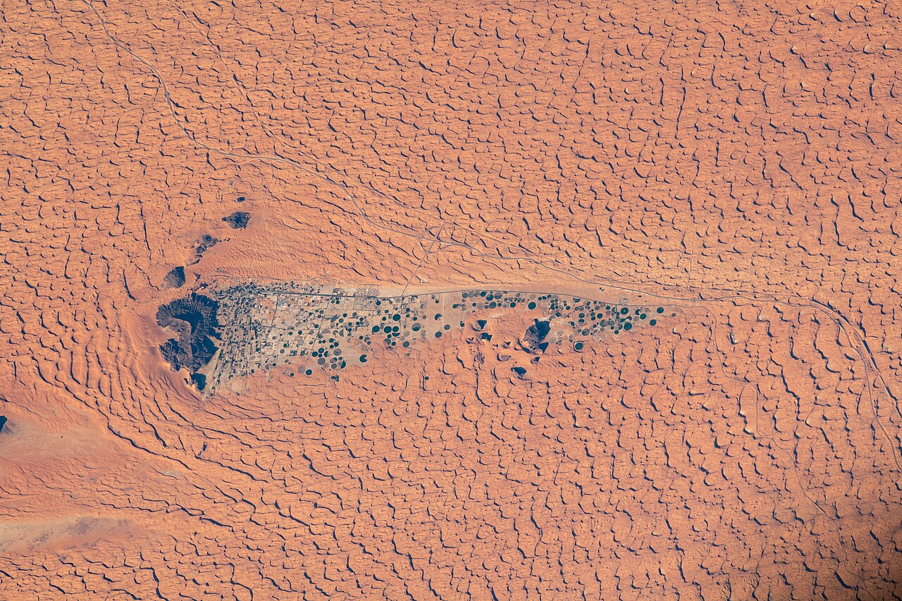 Desert Oasis Space View